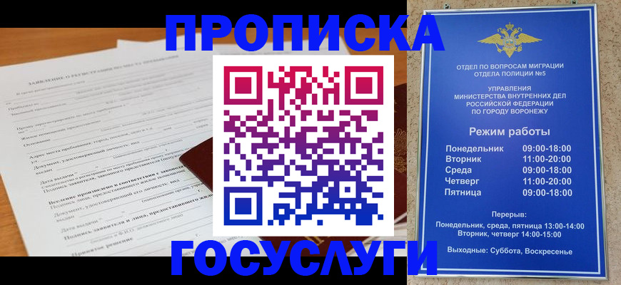 прописка штамп в Апатитах